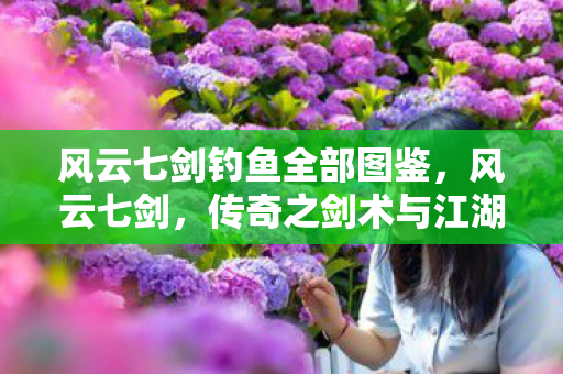 风云七剑钓鱼全部图鉴，风云七剑，传奇之剑术与江湖风云