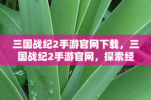 三国战纪2手游官网下载，三国战纪2手游官网，探索经典的游戏世界