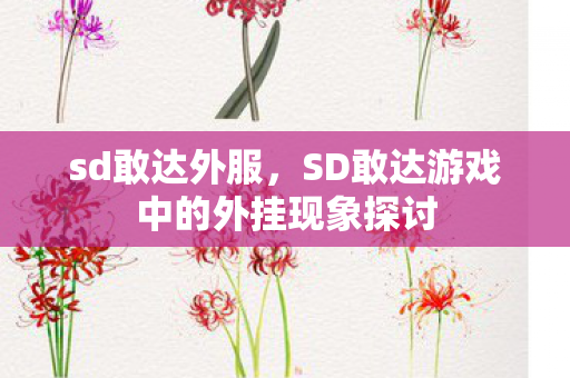 sd敢达外服，SD敢达游戏中的外挂现象探讨