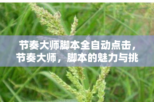 节奏大师脚本全自动点击，节奏大师，脚本的魅力与挑战