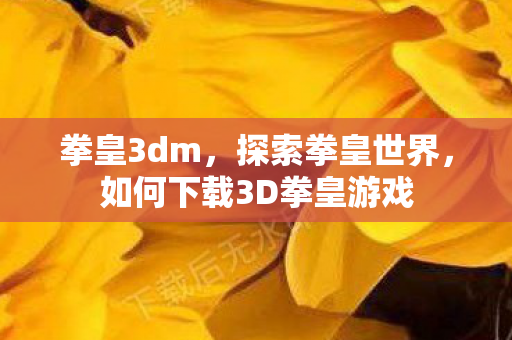 拳皇3dm，探索拳皇世界，如何下载3D拳皇游戏