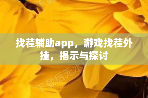 找茬辅助app，游戏找茬外挂，揭示与探讨