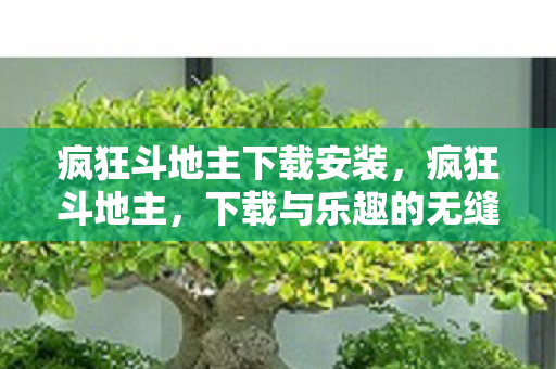 疯狂斗地主下载安装，疯狂斗地主，下载与乐趣的无缝对接
