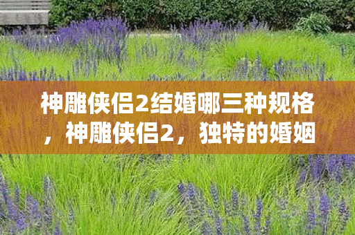 神雕侠侣2结婚哪三种规格，神雕侠侣2，独特的婚姻系统深度解析