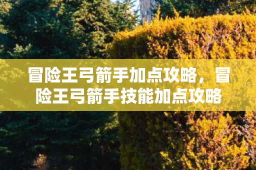 冒险王弓箭手加点攻略，冒险王弓箭手技能加点攻略