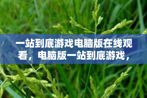 一站到底游戏电脑版在线观看，电脑版一站到底游戏，挑战你的知识与智慧