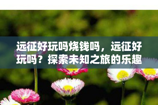 远征好玩吗烧钱吗，远征好玩吗？探索未知之旅的乐趣与挑战