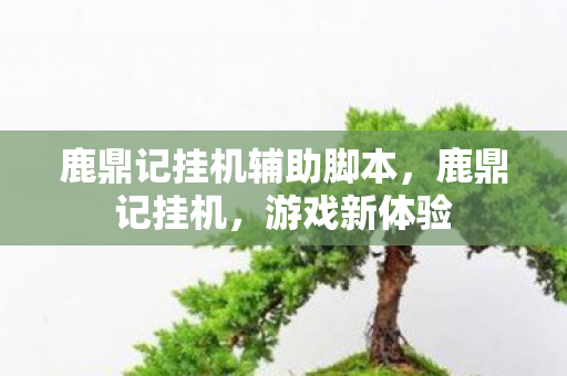 鹿鼎记挂机辅助脚本，鹿鼎记挂机，游戏新体验