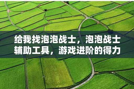 给我找泡泡战士，泡泡战士辅助工具，游戏进阶的得力助手