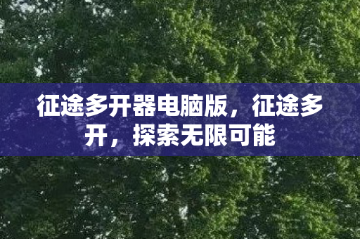 征途多开器电脑版，征途多开，探索无限可能