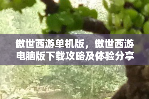 傲世西游单机版，傲世西游电脑版下载攻略及体验分享