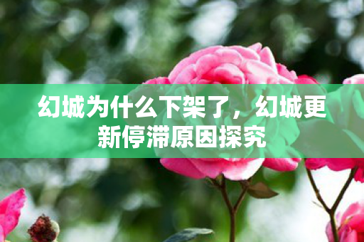 幻城为什么下架了，幻城更新停滞原因探究