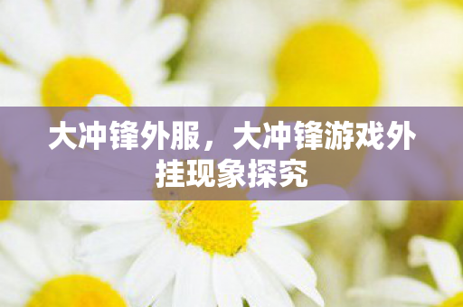 大冲锋外服，大冲锋游戏外挂现象探究