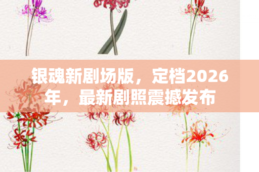银魂新剧场版，定档2026年，最新剧照震撼发布