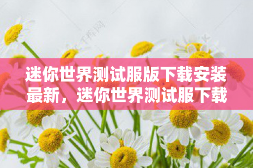 迷你世界测试服版下载安装最新，迷你世界测试服下载攻略，获取最新版本的体验之旅