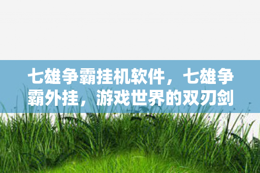 七雄争霸挂机软件，七雄争霸外挂，游戏世界的双刃剑