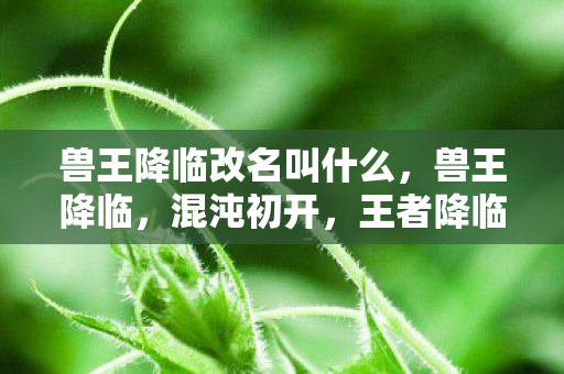 兽王降临改名叫什么，兽王降临，混沌初开，王者降临世间