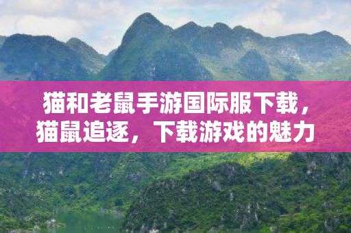猫和老鼠手游国际服下载，猫鼠追逐，下载游戏的魅力之旅
