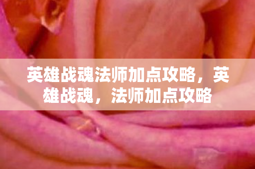 英雄战魂法师加点攻略，英雄战魂，法师加点攻略