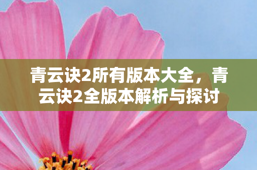 青云诀2所有版本大全，青云诀2全版本解析与探讨