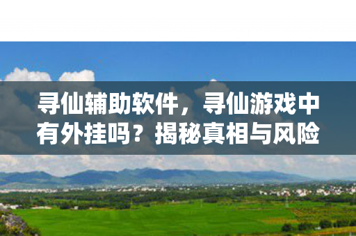 寻仙辅助软件，寻仙游戏中有外挂吗？揭秘真相与风险警示