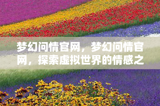 梦幻问情官网，梦幻问情官网，探索虚拟世界的情感之旅
