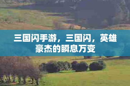三国闪手游，三国闪，英雄豪杰的瞬息万变