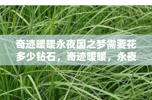 奇迹暖暖永夜国之梦需要花多少钻石，奇迹暖暖，永夜国之梦的探索之旅