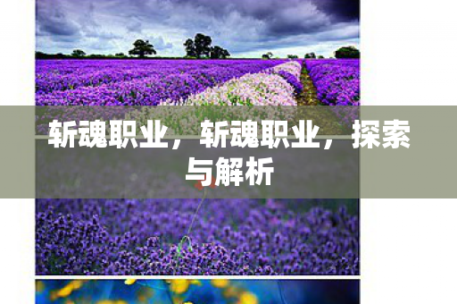斩魂职业，斩魂职业，探索与解析