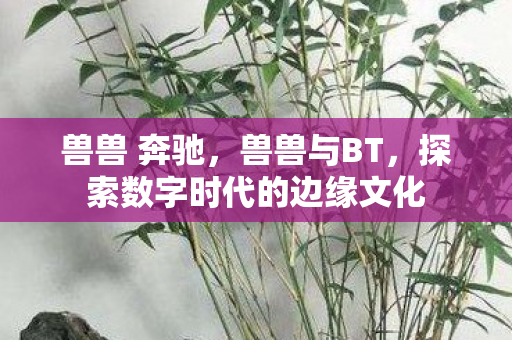 兽兽 奔驰，兽兽与BT，探索数字时代的边缘文化