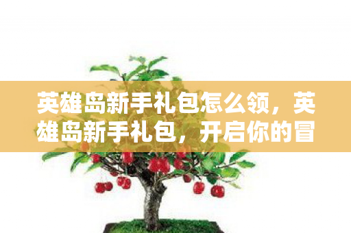 英雄岛新手礼包怎么领，英雄岛新手礼包，开启你的冒险之旅