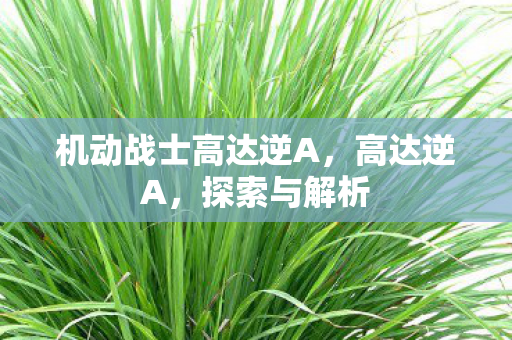 机动战士高达逆A，高达逆A，探索与解析