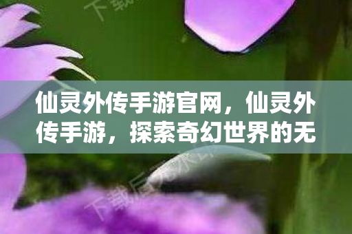 仙灵外传手游官网，仙灵外传手游，探索奇幻世界的无尽魅力