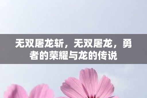 无双屠龙斩，无双屠龙，勇者的荣耀与龙的传说