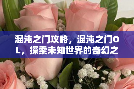 混沌之门攻略，混沌之门OL，探索未知世界的奇幻之旅