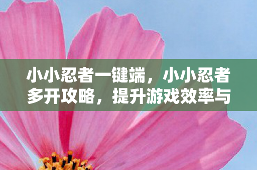小小忍者一键端，小小忍者多开攻略，提升游戏效率与体验