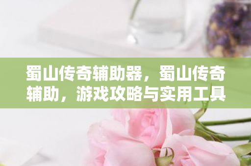 蜀山传奇辅助器，蜀山传奇辅助，游戏攻略与实用工具