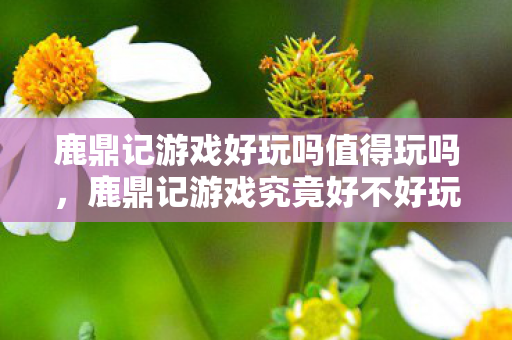 鹿鼎记游戏好玩吗值得玩吗，鹿鼎记游戏究竟好不好玩？深度解析游戏魅力