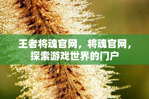 王者将魂官网，将魂官网，探索游戏世界的门户