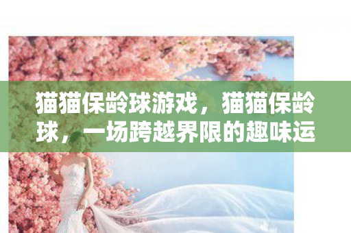 猫猫保龄球游戏，猫猫保龄球，一场跨越界限的趣味运动