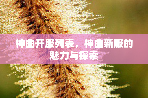 神曲开服列表，神曲新服的魅力与探索