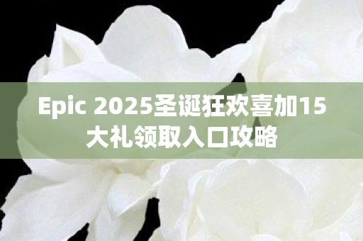 Epic 2025圣诞狂欢喜加15大礼领取入口攻略