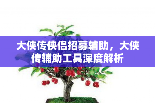 大侠传侠侣招募辅助，大侠传辅助工具深度解析