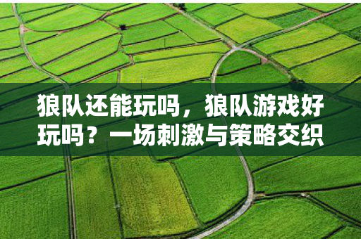 狼队还能玩吗，狼队游戏好玩吗？一场刺激与策略交织的竞技盛宴