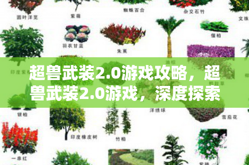 超兽武装2.0游戏攻略，超兽武装2.0游戏，深度探索与独特魅力