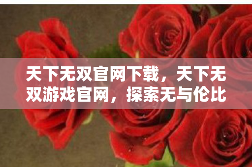 天下无双官网下载，天下无双游戏官网，探索无与伦比的游戏世界