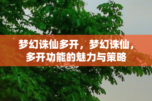 梦幻诛仙多开，梦幻诛仙，多开功能的魅力与策略