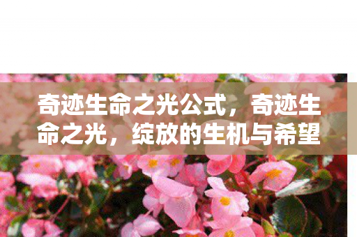 奇迹生命之光公式，奇迹生命之光，绽放的生机与希望