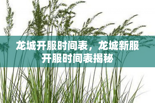 龙城开服时间表，龙城新服开服时间表揭秘