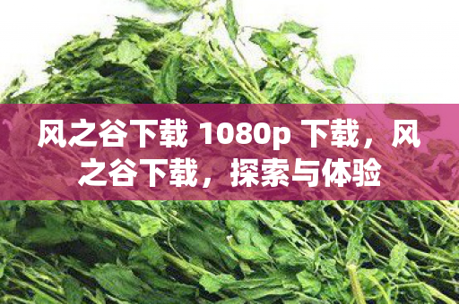 风之谷下载 1080p 下载，风之谷下载，探索与体验